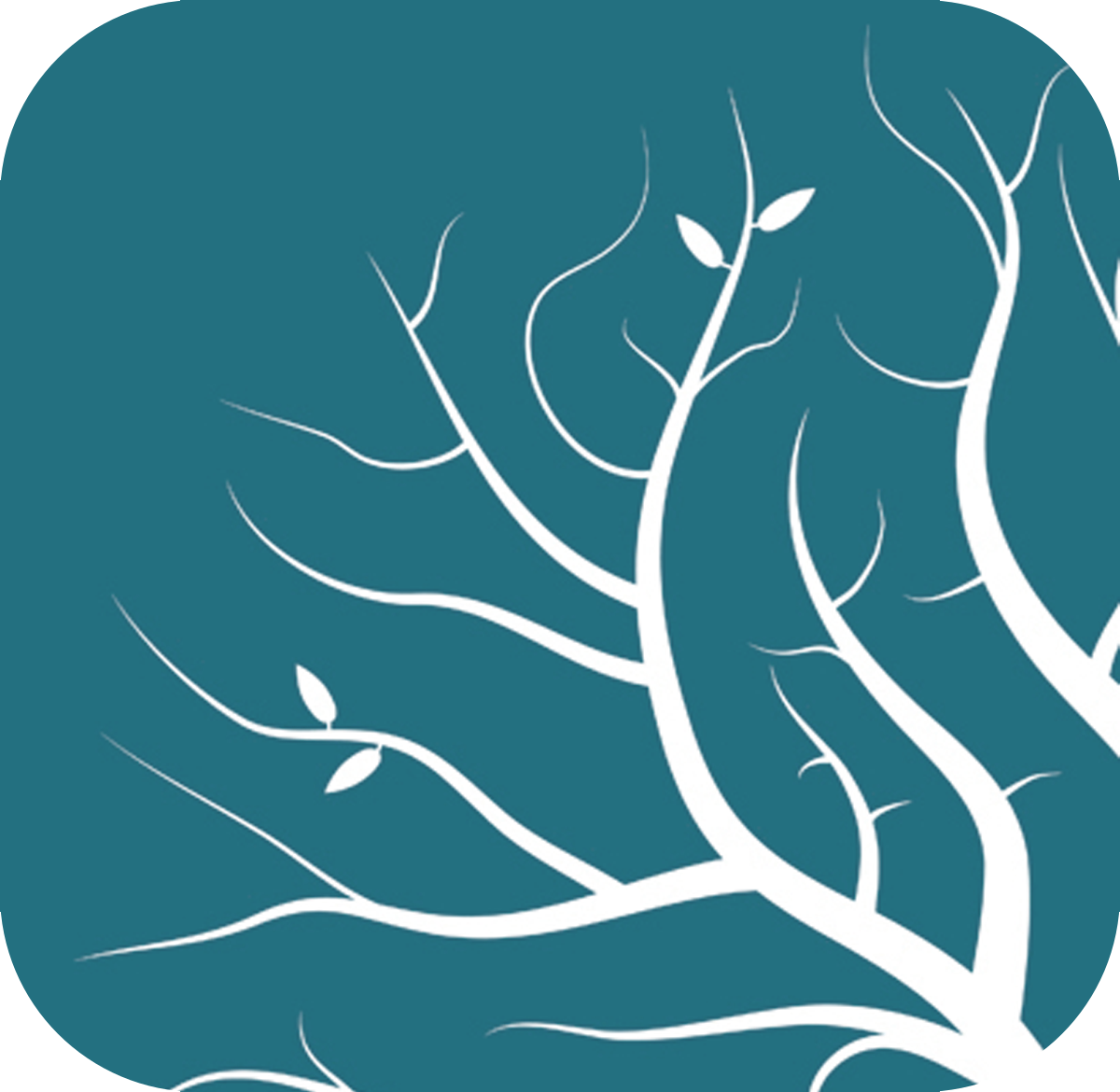 Lumion logo