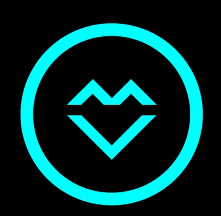 VizMaker logo