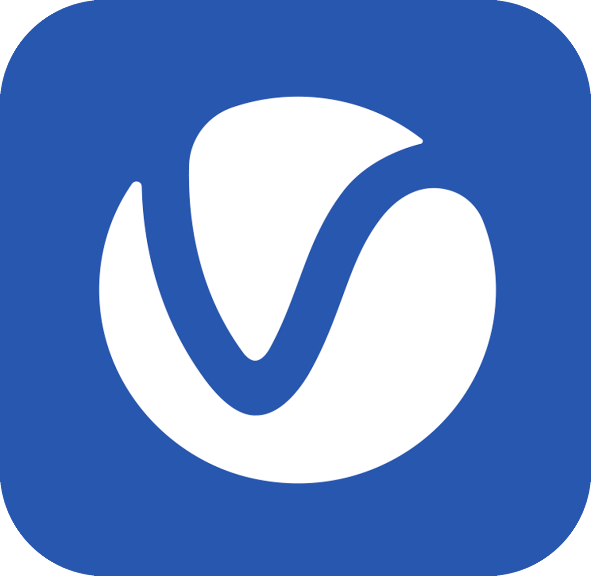 Chaos V-Ray logo